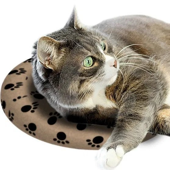 Heat Pad Snugglesafe Microwave