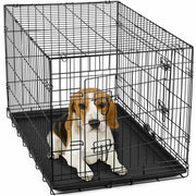 Crate Collapsible Black Vein [:24"]