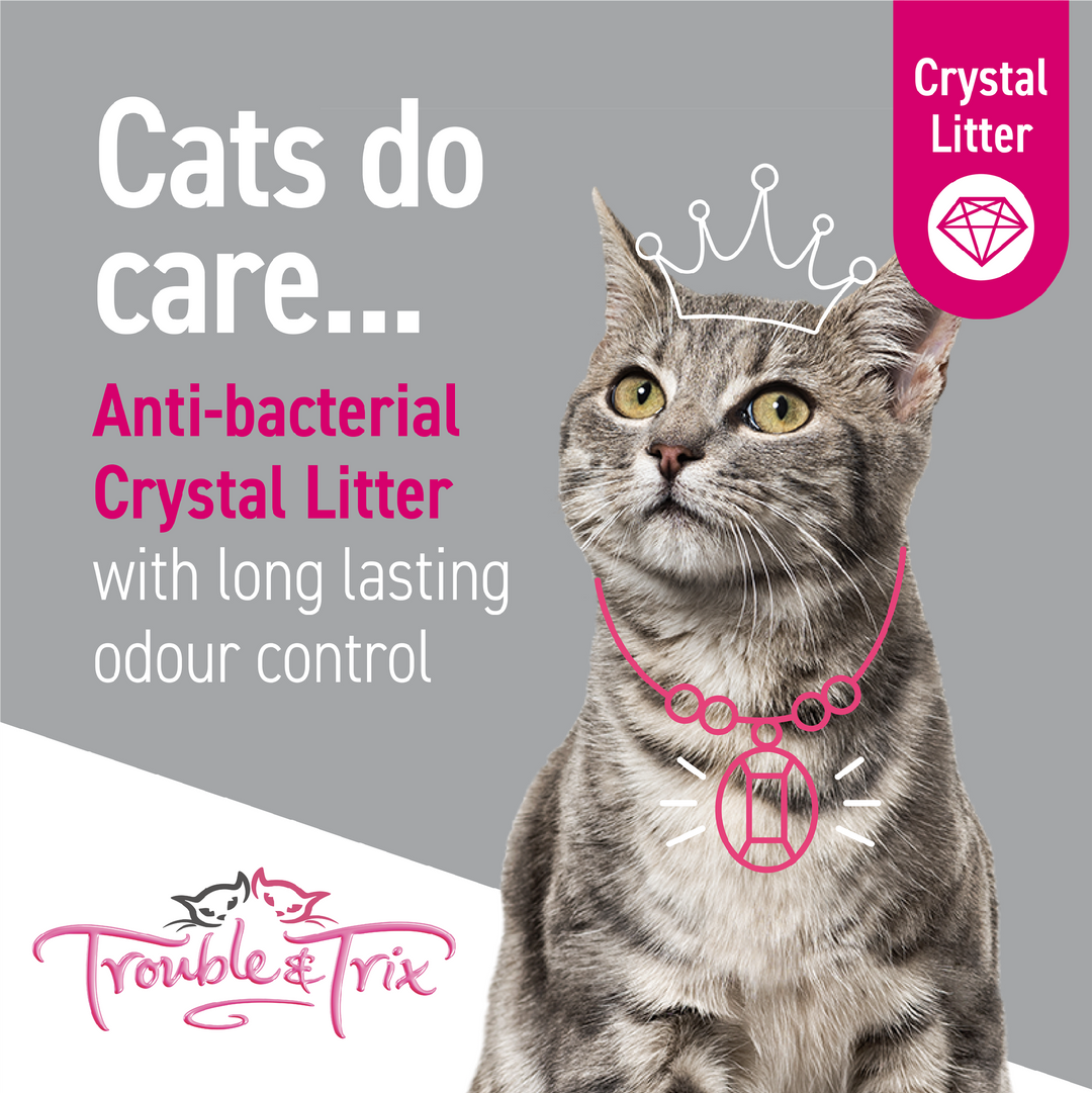 Litter Cat Trouble & Trix Beads Anti Bacterial 15lit 