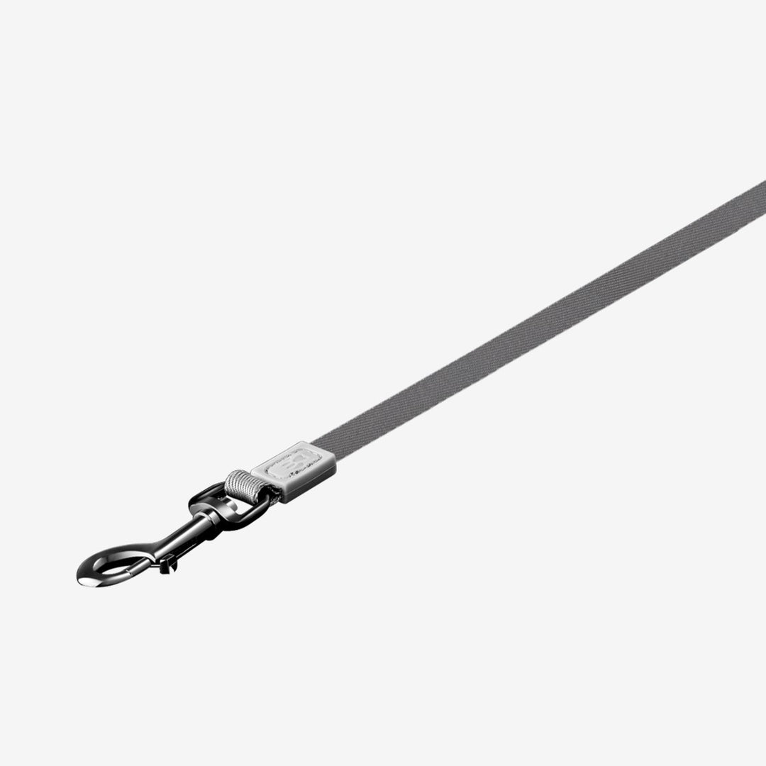 Retractable Lead Dogness Tape [:small]