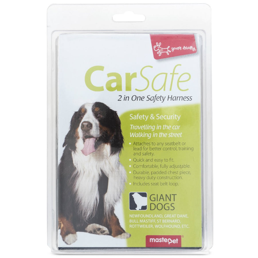 Harness Car Yours Droolly Black Xxl