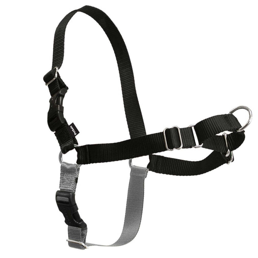 Harness Easy Walk Black [:small]