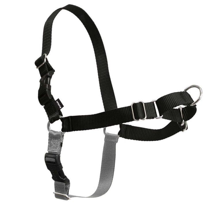 Harness Easy Walk Black [:small]