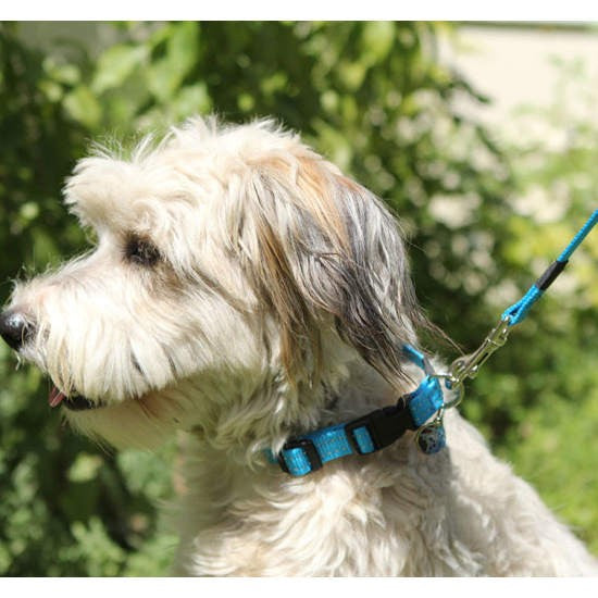 Rogz Dog Leash Utility Red [:extra Large]