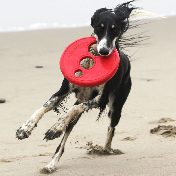 Rogz Dog Toy Frisbee Red