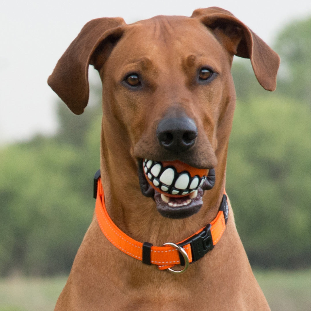 Rogz Dog Toy Grinz Red [:small]
