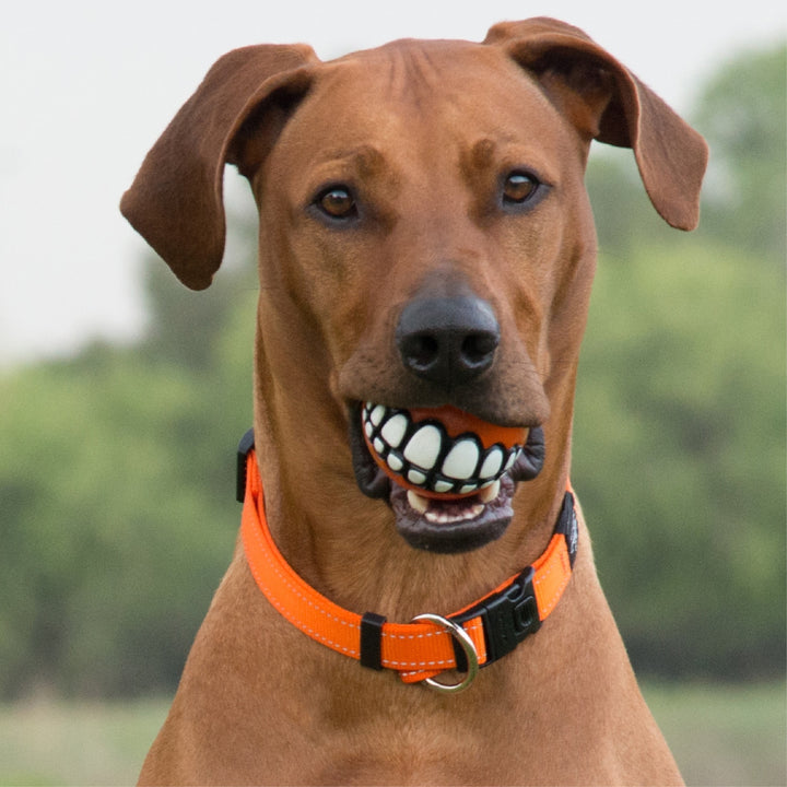 Rogz Dog Toy Grinz Red [:small]