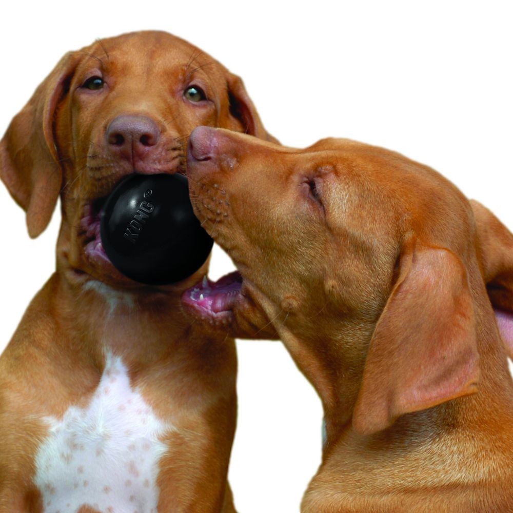 Kong Dog Toy Extreme Black Extra Large