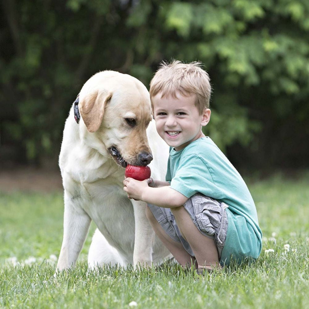 Kong Dog Toy Classic Red [:small]