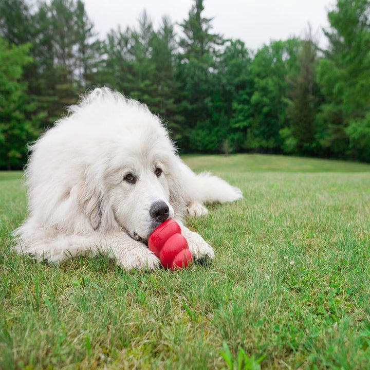 Kong Dog Toy Classic Red [:extra Large]