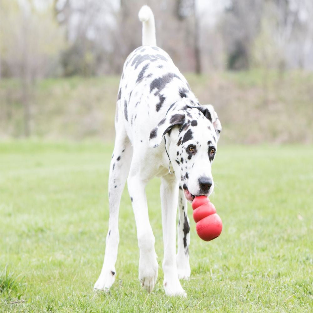 Kong Dog Toy Classic Red [:xxl]