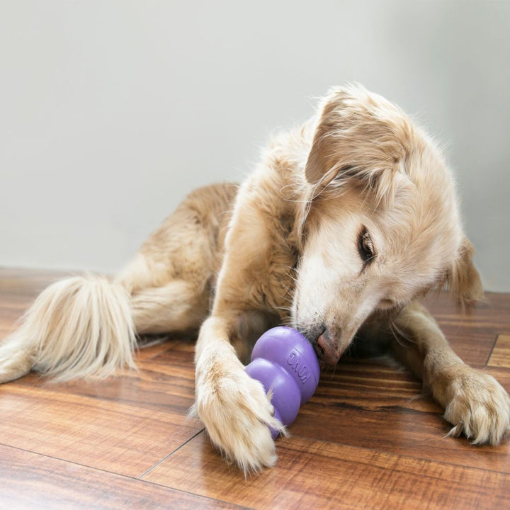 Kong Dog Toy Senior Large