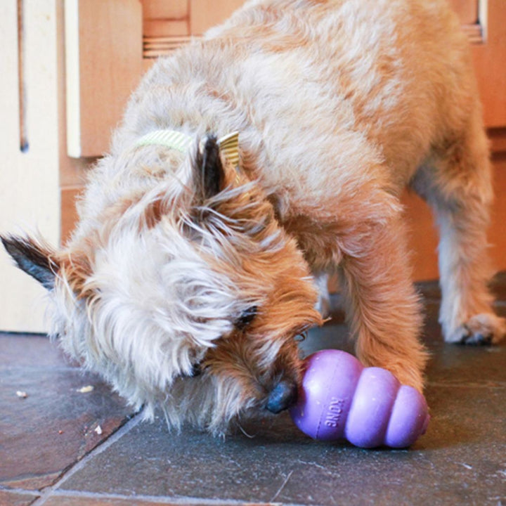 Kong Dog Toy Senior Large