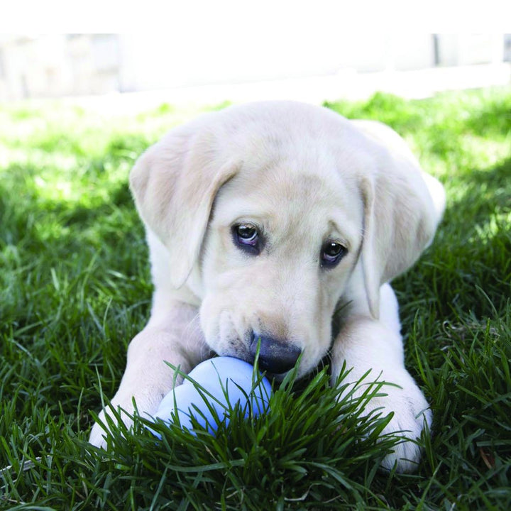 Kong Dog Treat Stuffn Puppy [:small]