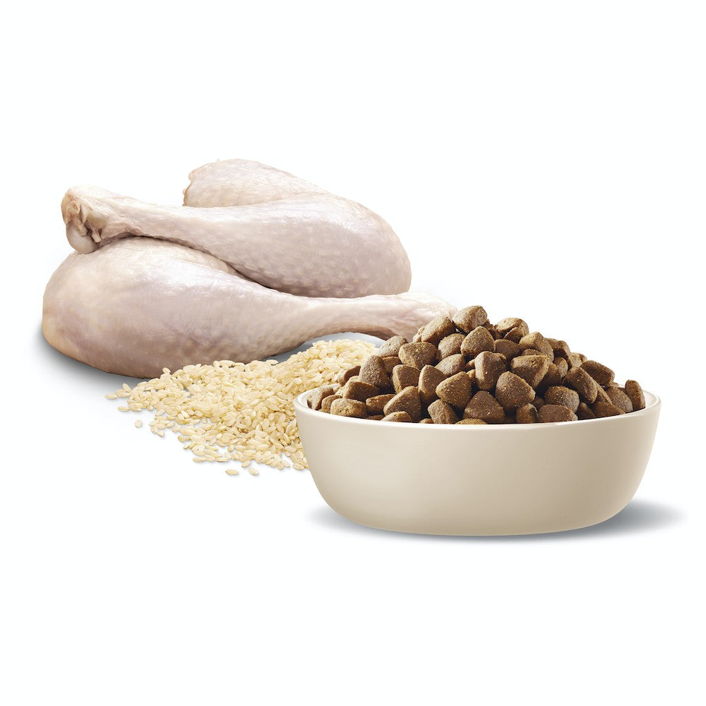 Advance Dog Adult Turkey Toy & Small Breed 3kg