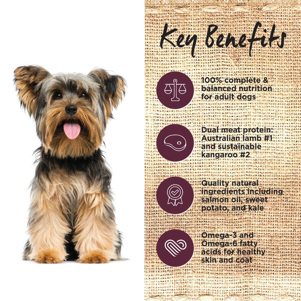 Ivory Coat Dog Grainfree Lamb & Kangaroo 2kg