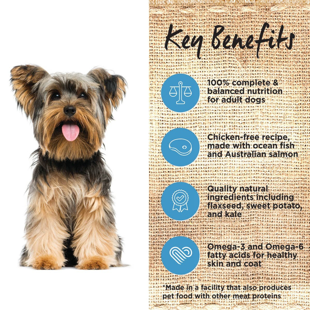 Ivory Coat Dog Grainfree Ocean Fish & Salmon 13kg