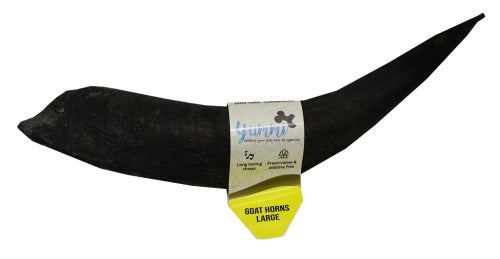Goat Horn [:medium]
