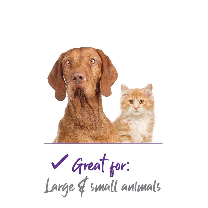 Dog Grooming Kit Ear And Face Care Kazoo