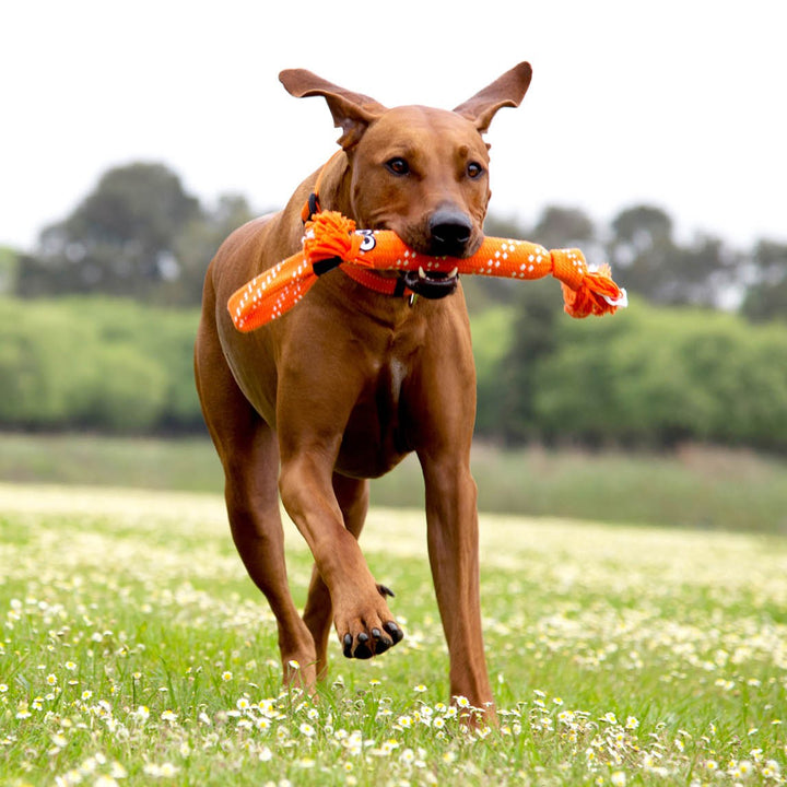 Rogz Dog Toy Scrubz Blue [:medium]