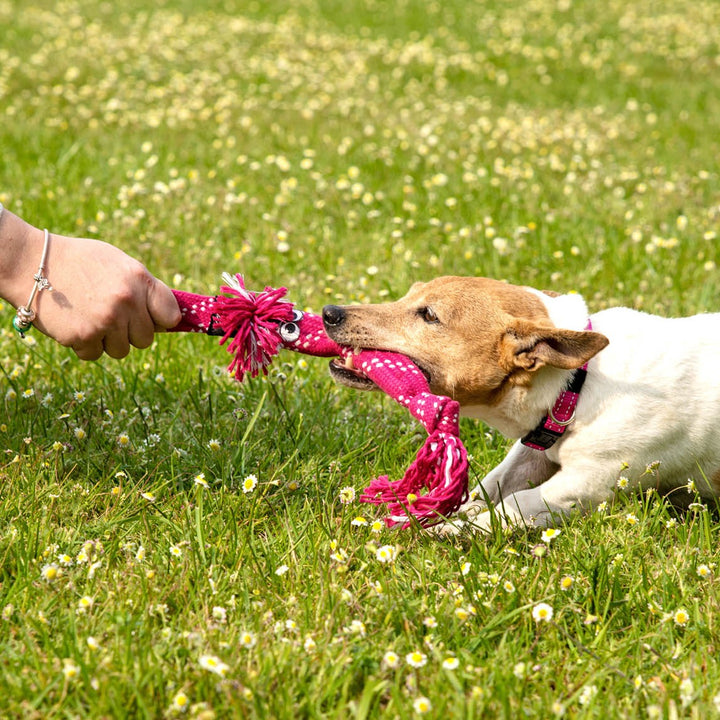 Rogz Dog Toy Scrubz Pink [:medium]