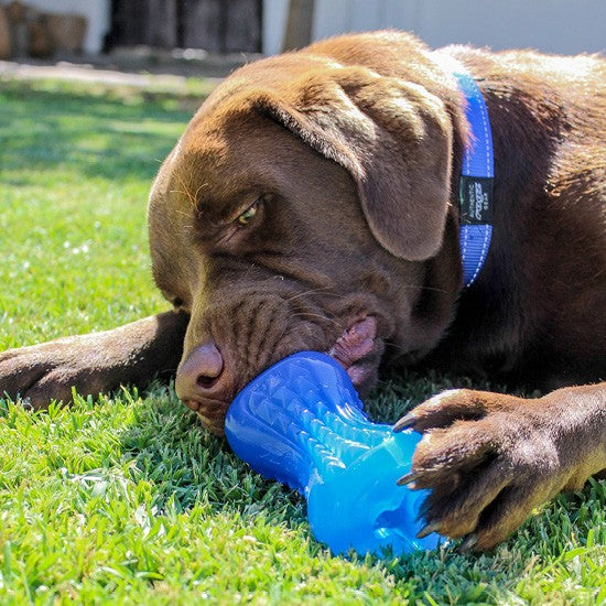 Rogz Dog Toy Yumz Blue [:small]