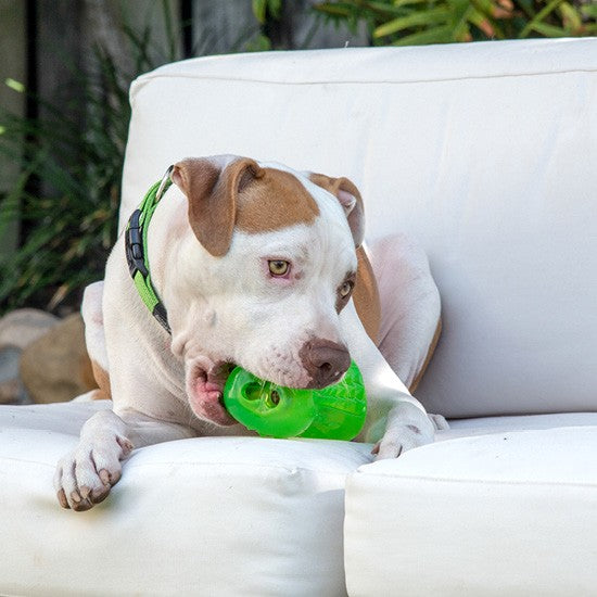 Rogz Dog Toy Yumz Blue [:small]