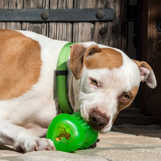 Rogz Dog Toy Yumz Blue [:small]