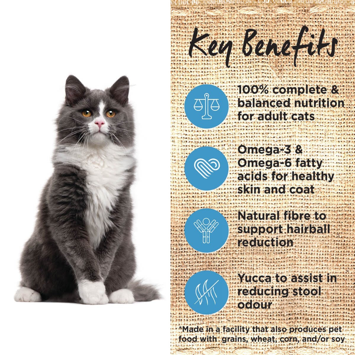 Ivory Coat Cat Grainfree Ocean Fish & Salmon 2kg