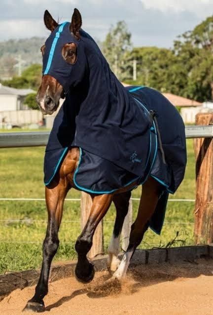 Cotton Rug Earlwood Navy & Blue [:5'9"]