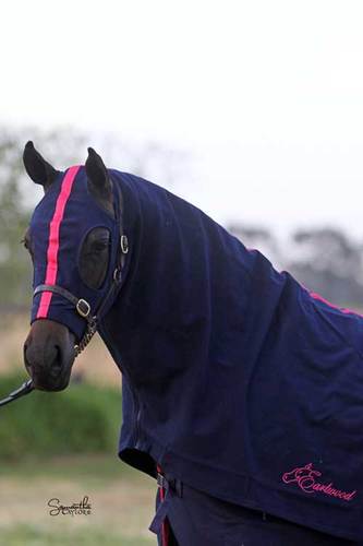 Cotton Hood Earlwood Navy & Pink [:cob]