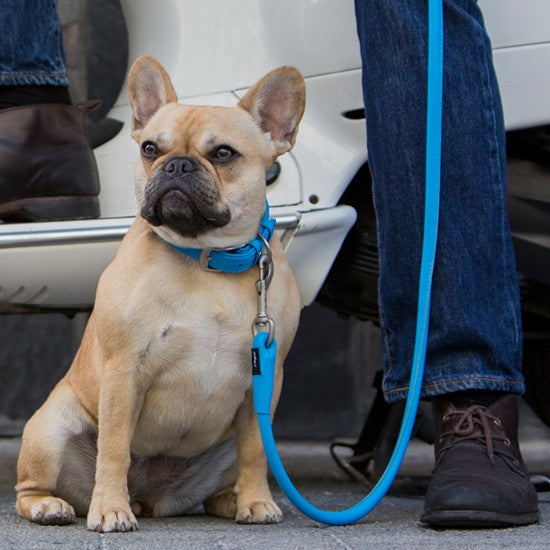 Rogz Dog Leash Leather Lime [:large]