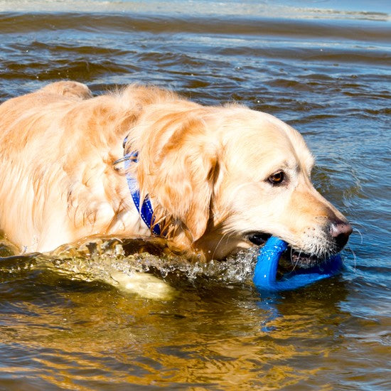 Rogz Dog Toy Pop Upz Blue [:small/medium]