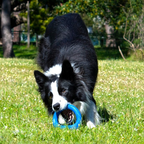 Rogz Dog Toy Pop Upz Blue [:small/medium]