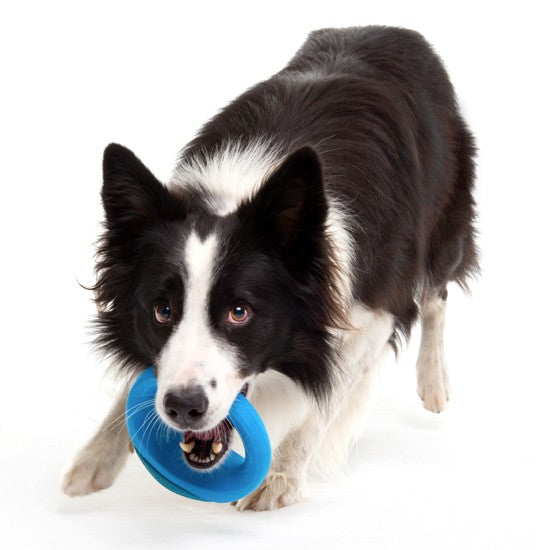 Rogz Dog Toy Pop Upz Blue [:small/medium]