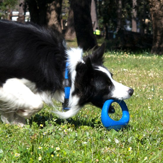 Rogz Dog Toy Pop Upz Blue [:small/medium]