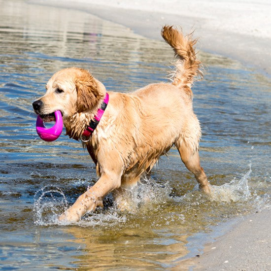 Rogz Dog Toy Pop Upz Pink [:small/medium]