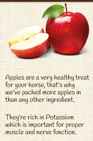 Horse Treat Equine Pure Delights Apple Cinnamon Molasses [:500gm]
