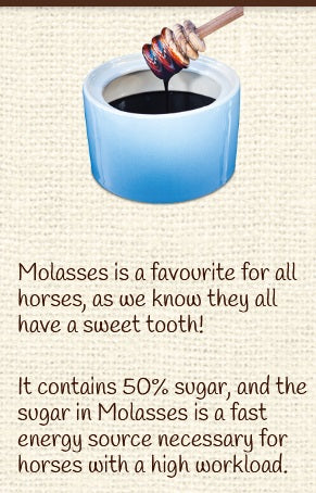 Horse Treat Equine Pure Delights Apple Cinnamon Molasses [:500gm]