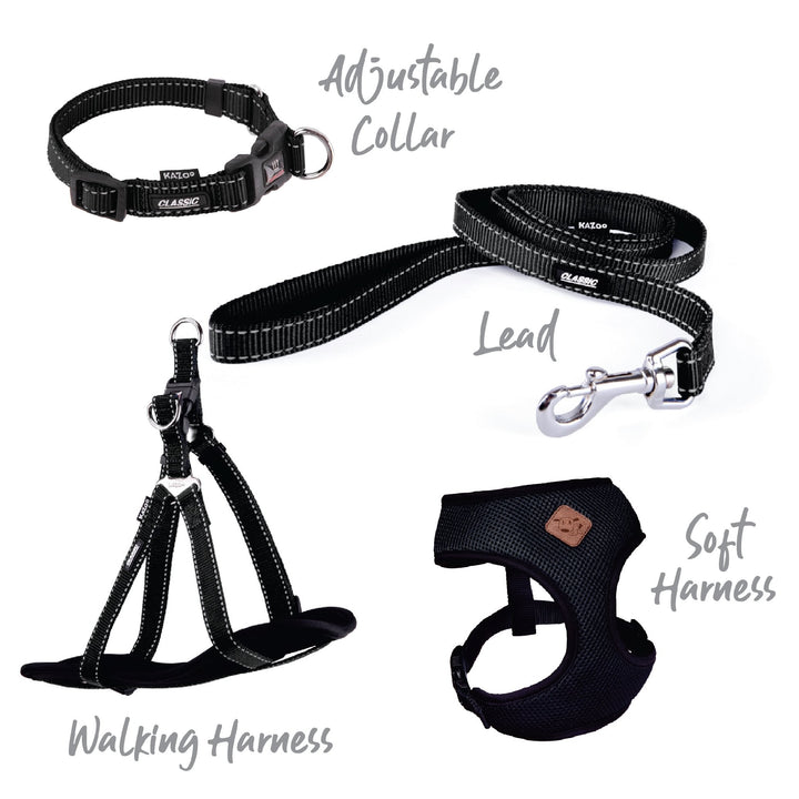 Kazoo Dog Leash Classic Black 1200mm [:15mm]