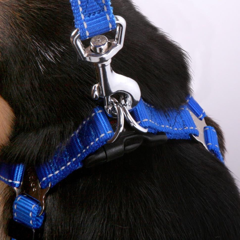 Kazoo Dog Leash Classic Blue 1200mm [:15mm]