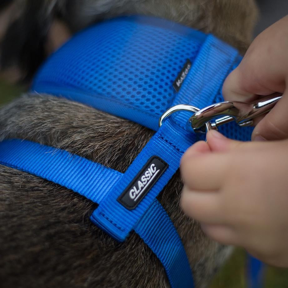 Kazoo Dog Leash Classic Blue 1200mm [:15mm]