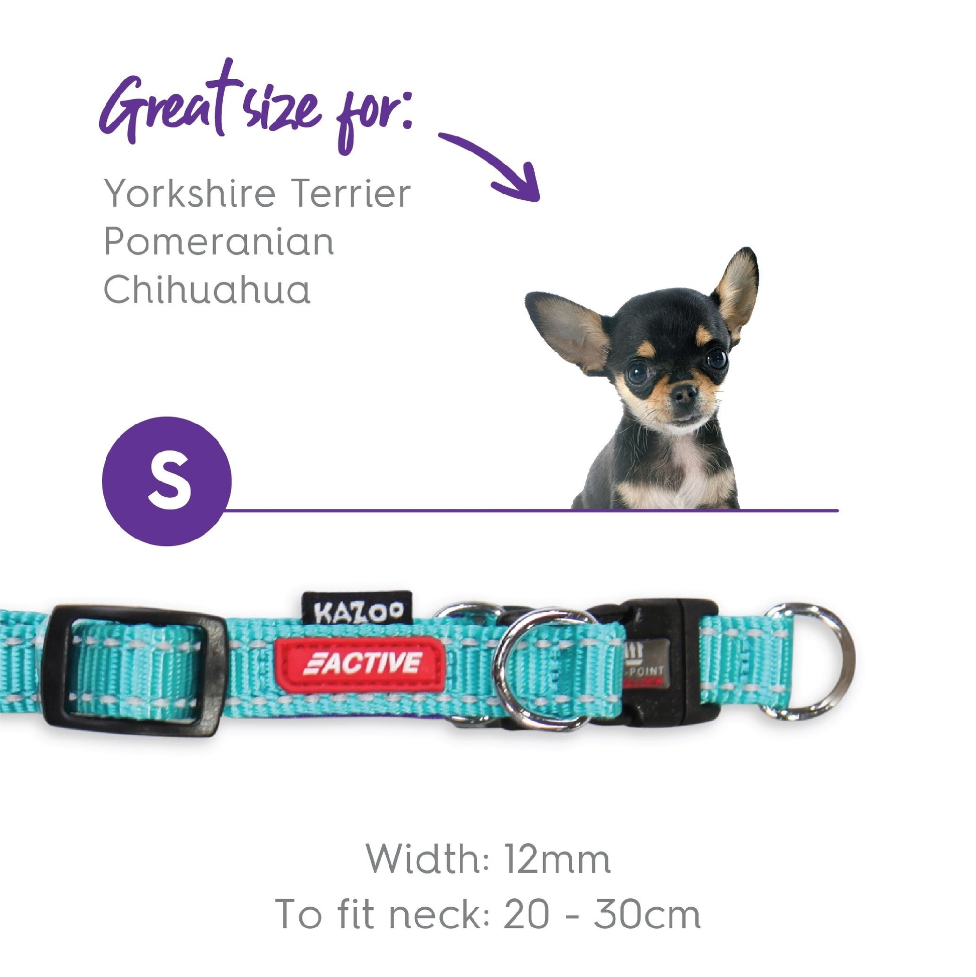 Kazoo Dog Collar Active Adjustable Aqua & Purple [:extra Large]