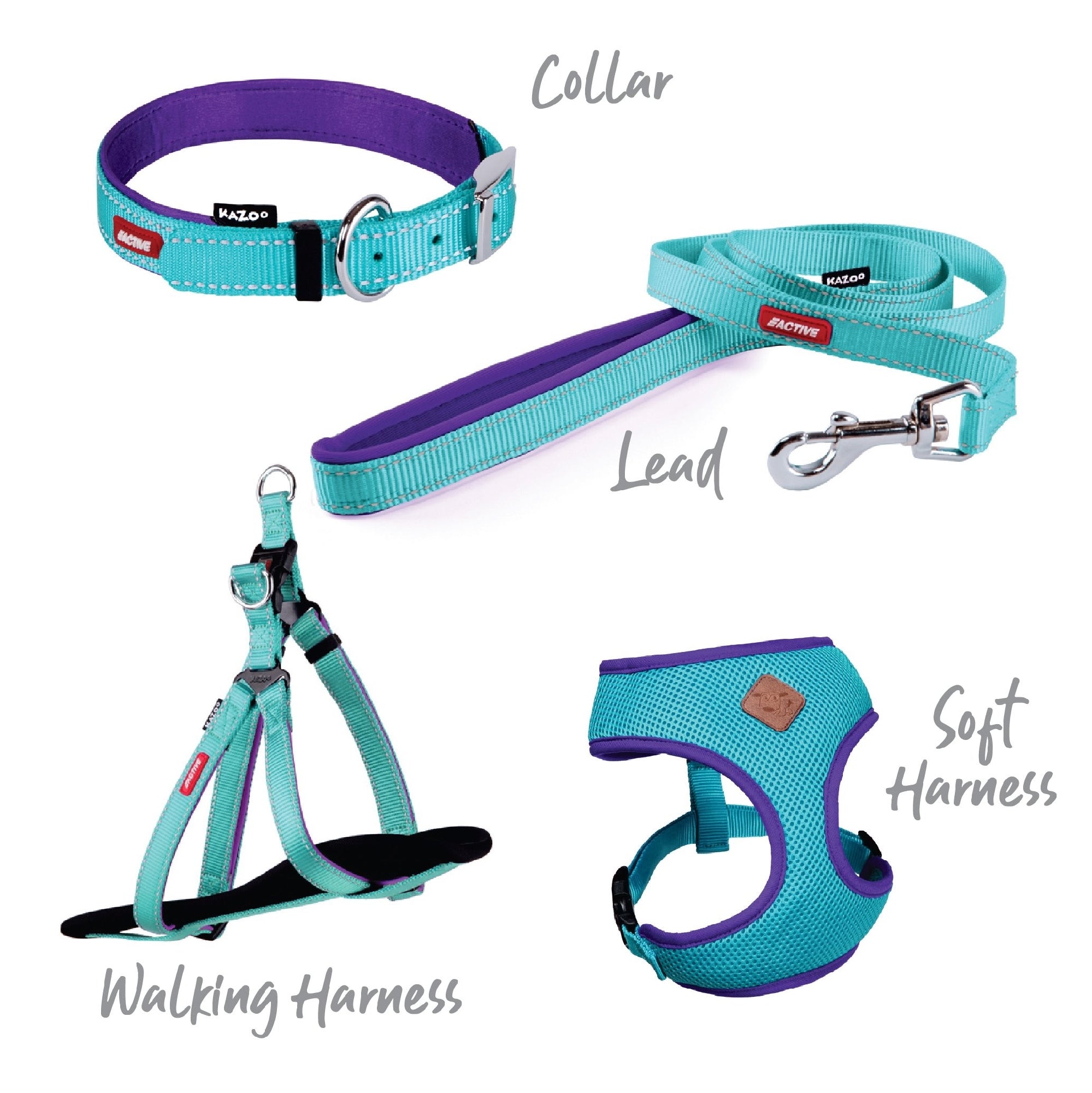 Kazoo Dog Collar Active Aqua & Purple [:extra Large]