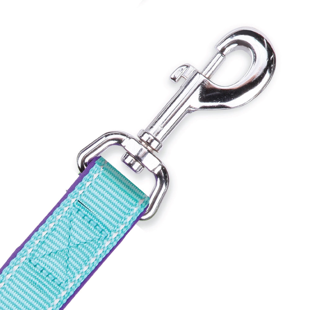 Kazoo Dog Leash Active Aqua & Purple 1200mm [:15mm]