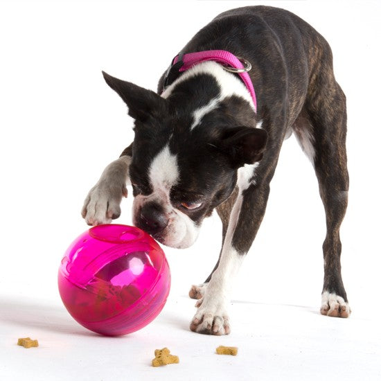 Rogz Dog Toy Treat Tumbler Lime