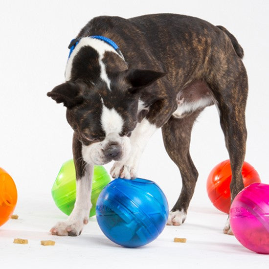Rogz Dog Toy Treat Tumbler Lime