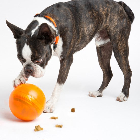 Rogz Dog Toy Treat Tumbler Lime