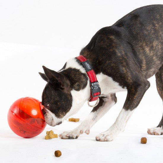 Rogz Dog Toy Treat Tumbler Lime