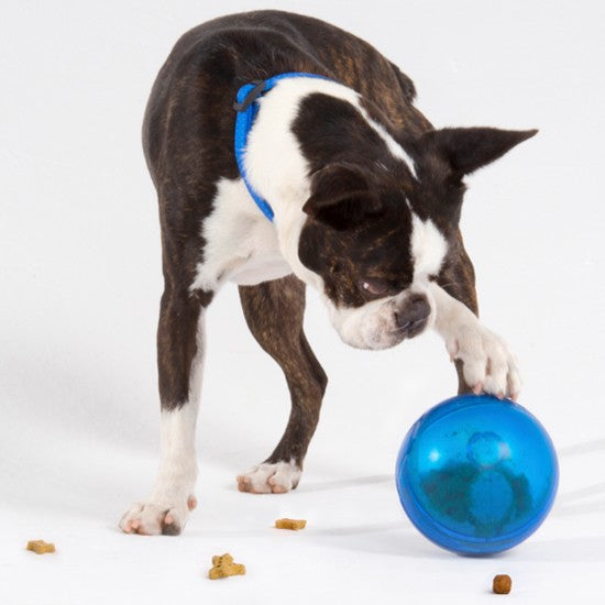 Rogz Dog Toy Treat Tumbler Lime